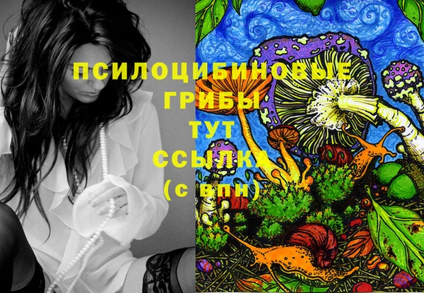МДПВ Алзамай