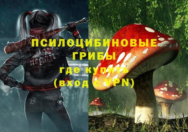 МДПВ Алзамай